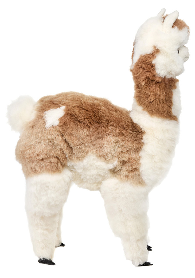 Alice — Life-Size Baby Alpaca Fur Cria Figure - 29 Inch Multi - Side view.
