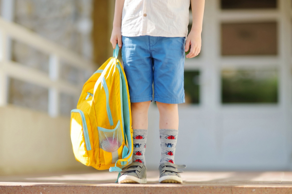 Alpaca Sock Back to School Sale