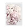 Peony Blush Print with optional white timber frame