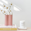 Marmoset Found - Smooth Infinity Vase - Ochre (S)