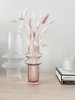 Marmoset Found - Memphis Vase - Clear (L) with Aswan Vase - Rose (M)