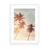 Paradise Palms I with White Border