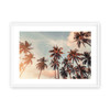 Palms in Paradise - Borderless