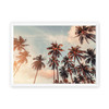 Palms in Paradise  with White Border