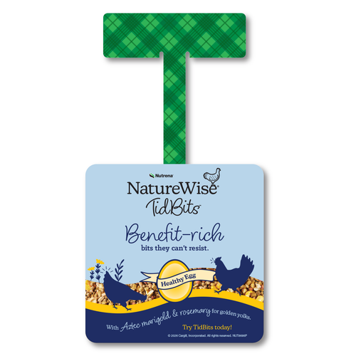 NatureWise Tidbits Healthy Egg Wobbler
