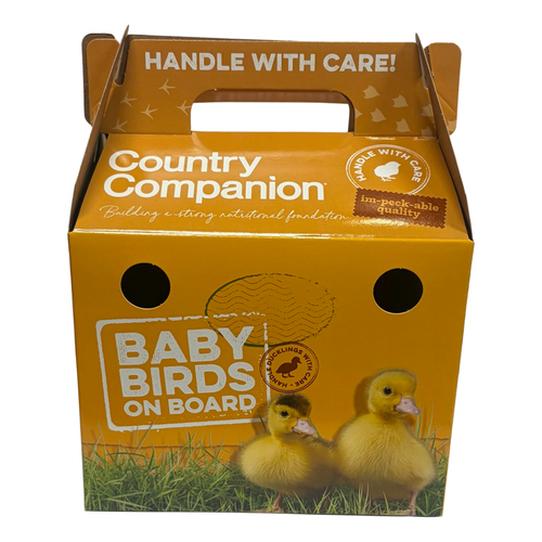 Country Companion 2026 Chick Crates - Pack of 25