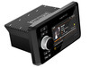 CAPRI H100 DAB+