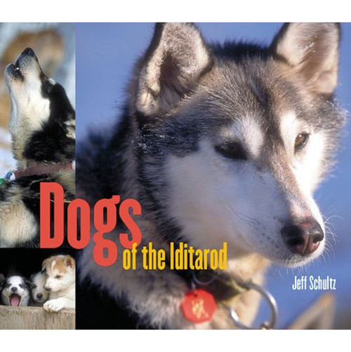 Dogs of the Iditarod-OP