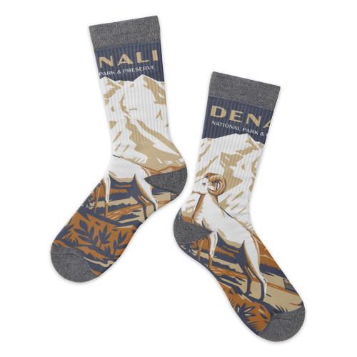 Socks - Denali Retro