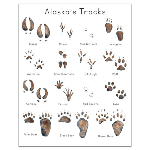 Alaska Animal Tracks Art Print Alaska Animal Tracks Art Print