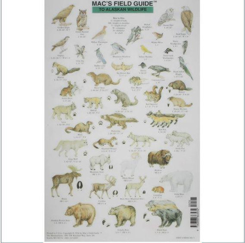 Mac's Field Guides: Alaskan Wildlife Mac's Field Guides: Alaskan Wildlife