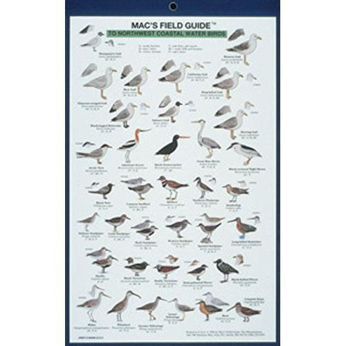 Mac's Field Guides: Northwest Coastal Water Birds