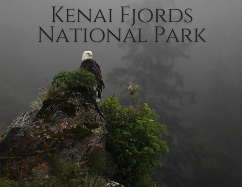 Postcard Eagle KEFJ