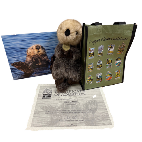 Adoption Kit Sea Otter Glacier Bay