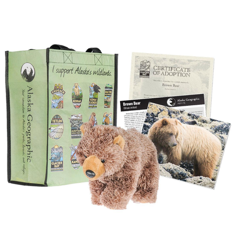 Adopt a Brown Bear Kit