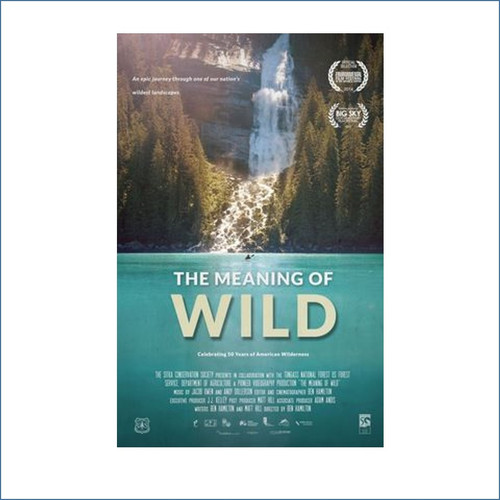 DVD - The Meaning of Wild