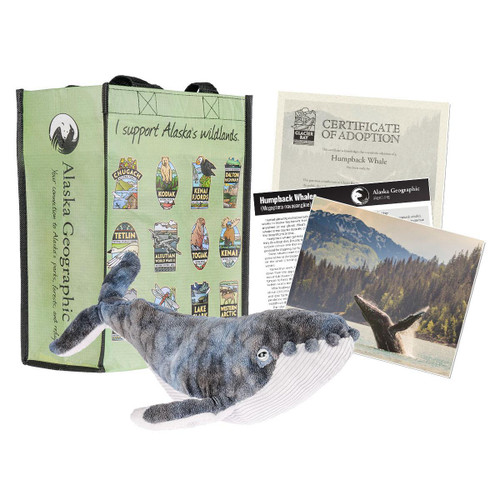 Adoption Kit Humpback Whale GLBA