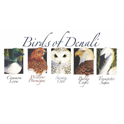 Nature of Denali Birds Note Cards Marshall Arts