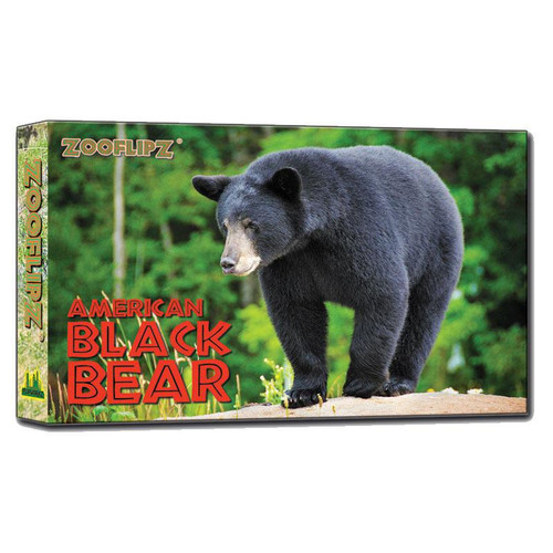 Flip Book - Black Bear