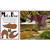 Postcard Mail a Bear (Grizzly)