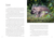 Mammals of Denali