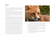 Mammals of Denali