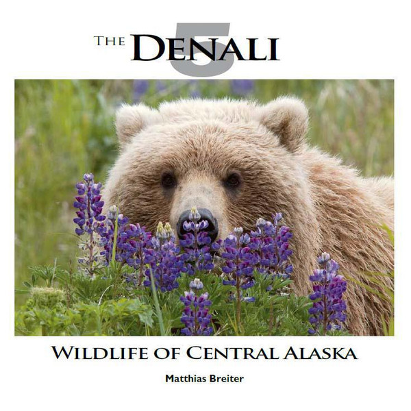 The Denali 5 - Wildlife Of Central Alaska