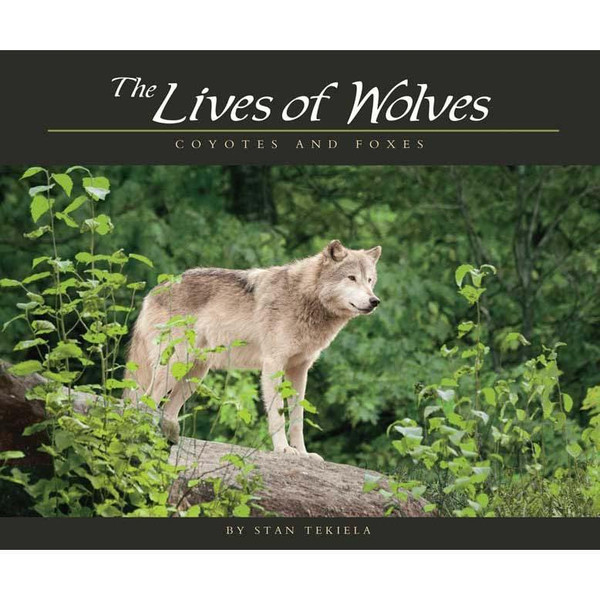 The Lives of Wolves, Coyotes and Foxes by Stan Tekiela