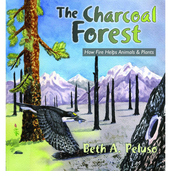 Charcoal Forest : How Fire Helps Animals & Plants