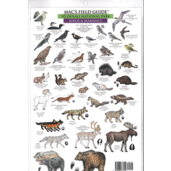 Mac's Field Guides: Denali National Park (Flowers and Trees/Birds and Mammals)