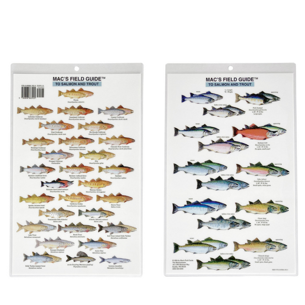 Mac's Field Guide to Salmon & Trout