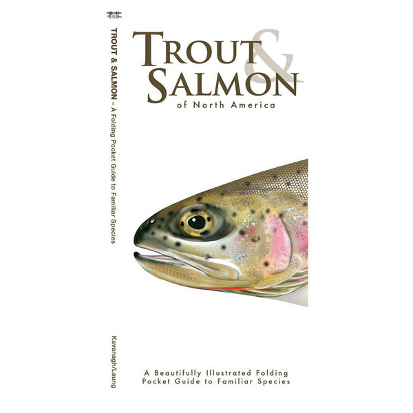Trout & Salmon of North America - An Illustrated Folding Pocket Guide to Familiar Species