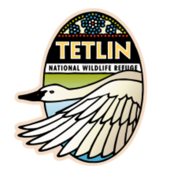 Magnet Tetlin - flat