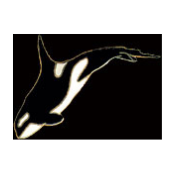 Zipperpull Killer Whale Wm Spear