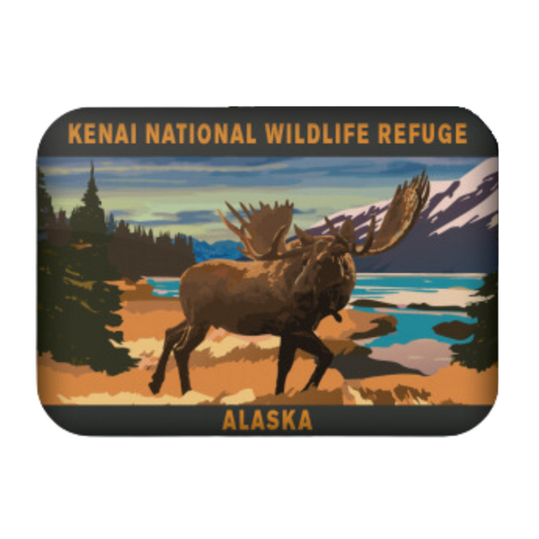 Magnet Moose Kenai National Wildlife Refuge