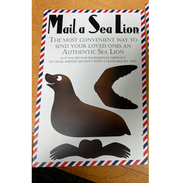 Postcard Mail a Sea Lion