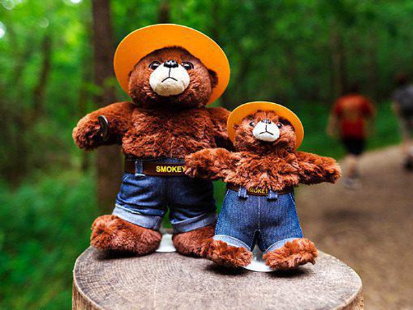 Plush Smokey Bear