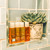 Aromatherapy Associates Mini Shower Oil Gift Set