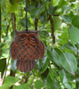 Woodstock Windchimes