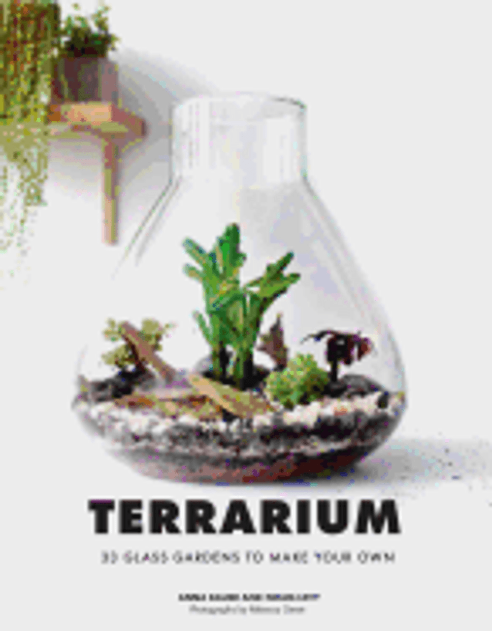 Beach Terrarium Kit - THE BEACH PLUM COMPANY