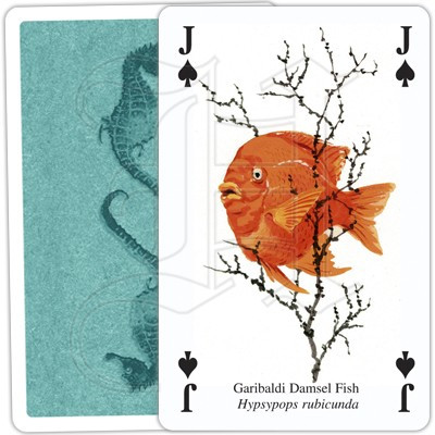 Ocean Life Playing Cards THE BEACH PLUM COMPANY