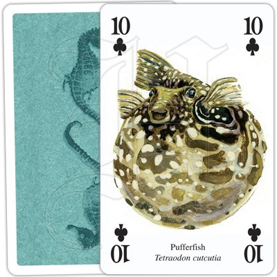 Ocean Life Playing Cards THE BEACH PLUM COMPANY