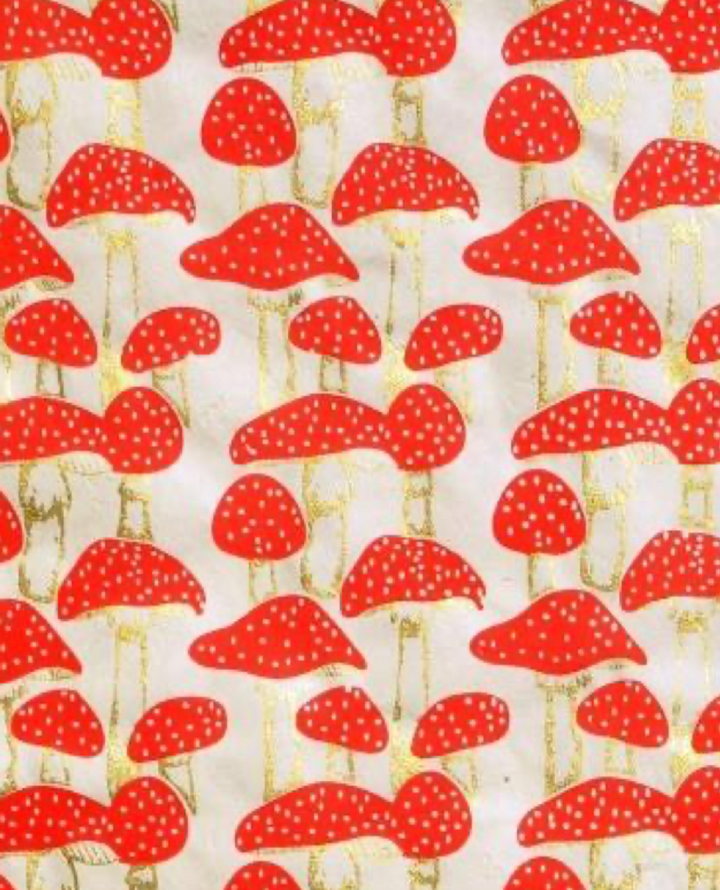 WOODLANDS MUSHROOMS Roll of THREE Wrapping Paper SHEETS (19x27) - THE  BEACH PLUM COMPANY