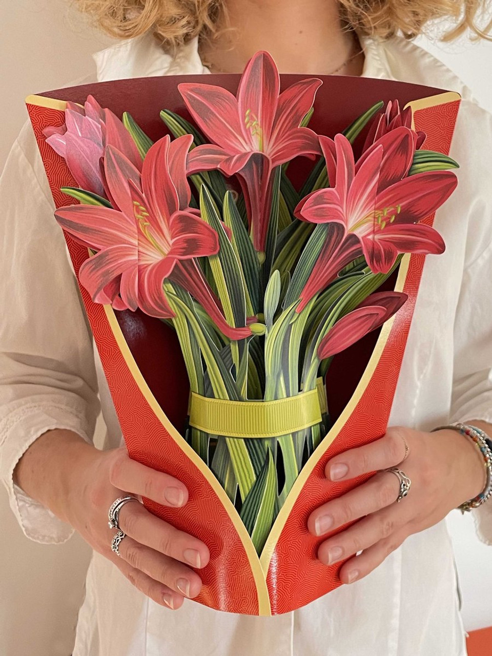 Fresh Cut Paper Red Amaryllis - THE BEACH PLUM COMPANY