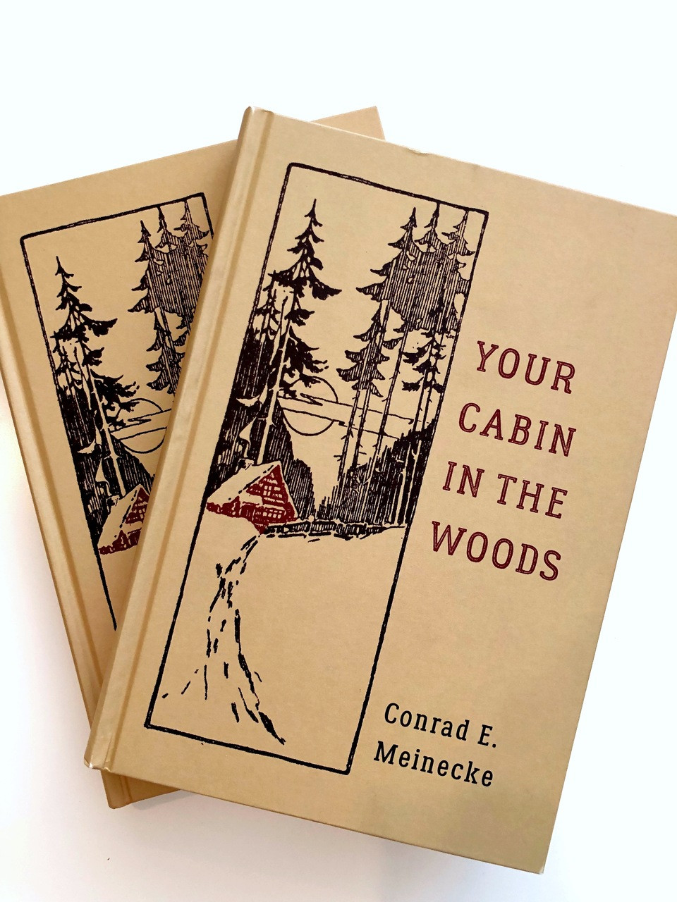 Your Cabin In The Woods Books Books Professional Technical