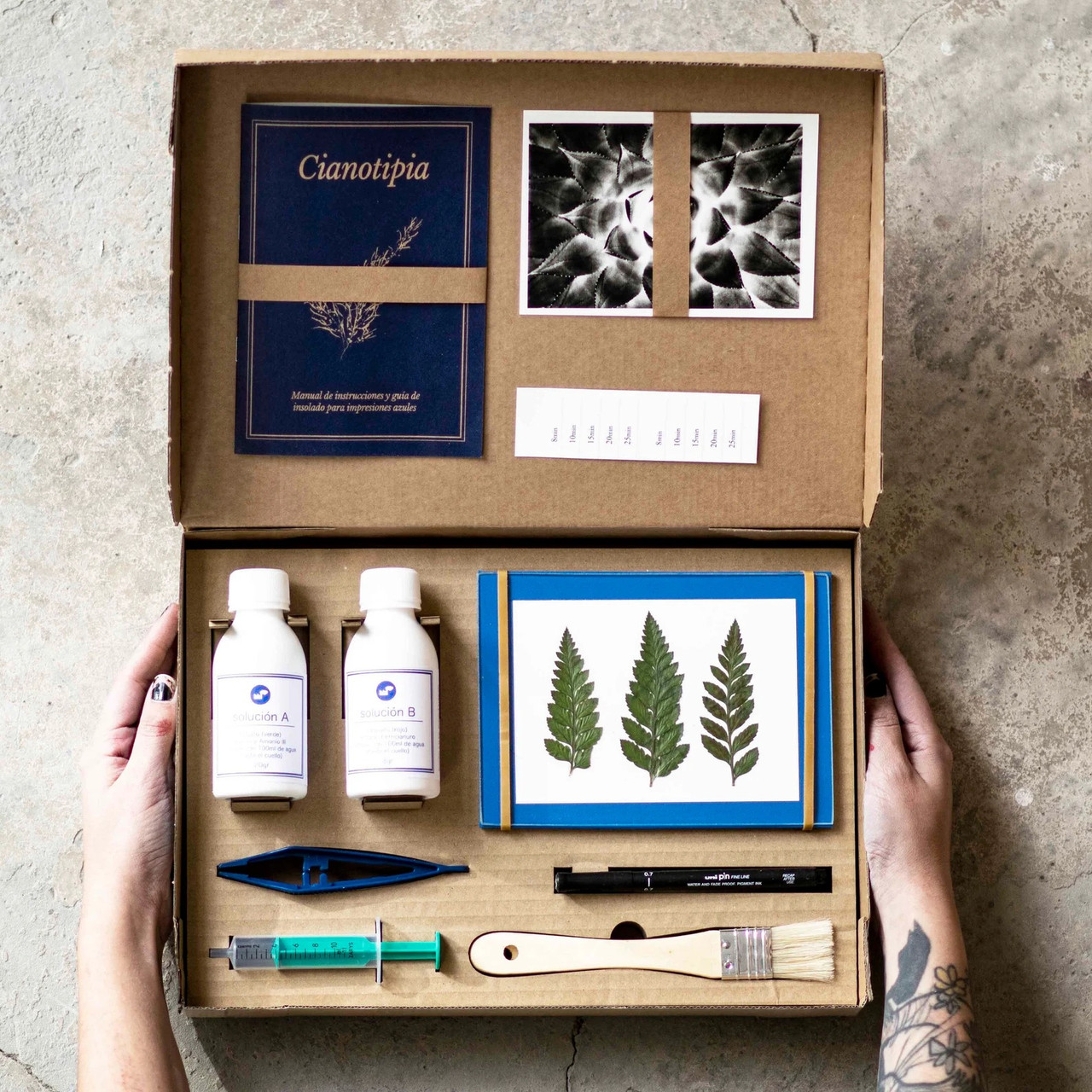 Kit DIY Coffret création Cyanotype - Botanopia – Hersée