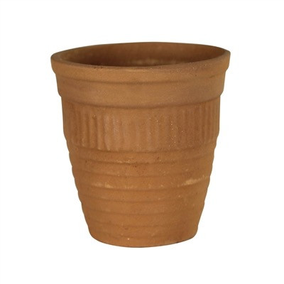Rustic Wood Caddy with 10 Tiny Clay Pots