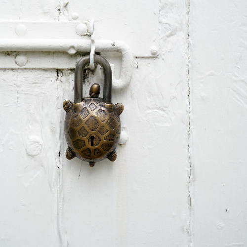 Turtle Lock in Aged Brass and Steel