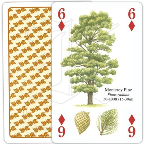 North American Trees Playing Cards