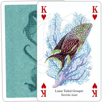 Ocean Life Playing Cards THE BEACH PLUM COMPANY